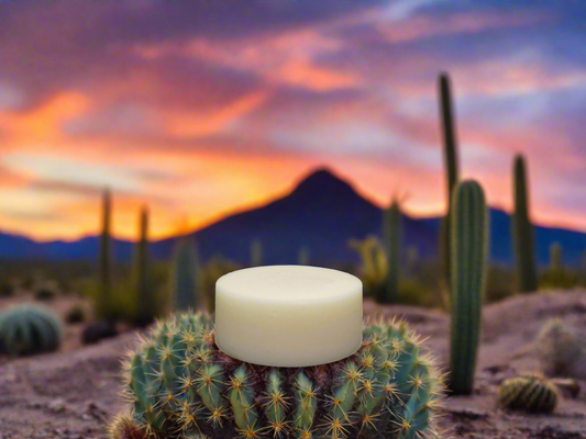 Desert Rain Conditioner Bar 1.3 oz.