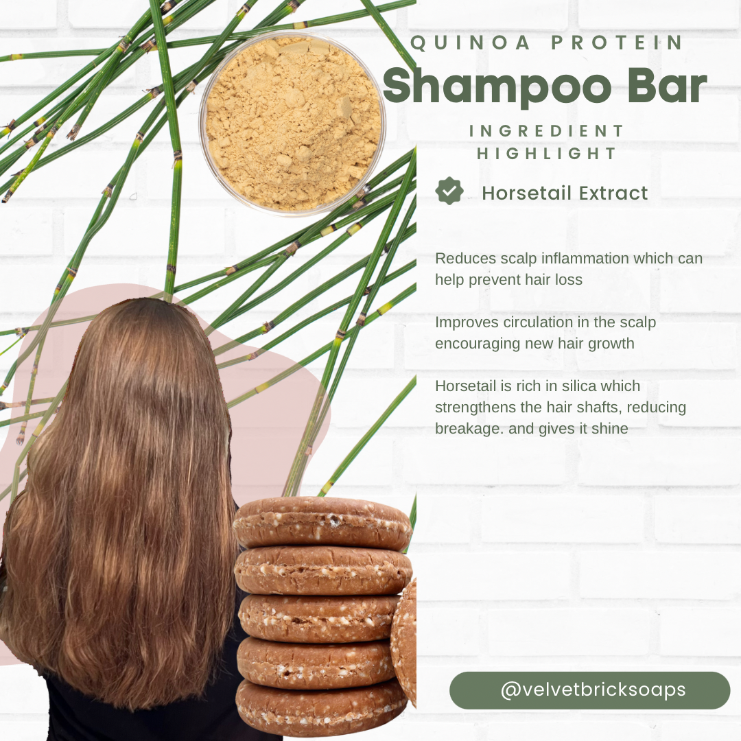 Trial/Travel Size Fragrance Free Shampoo Bar 0.5oz